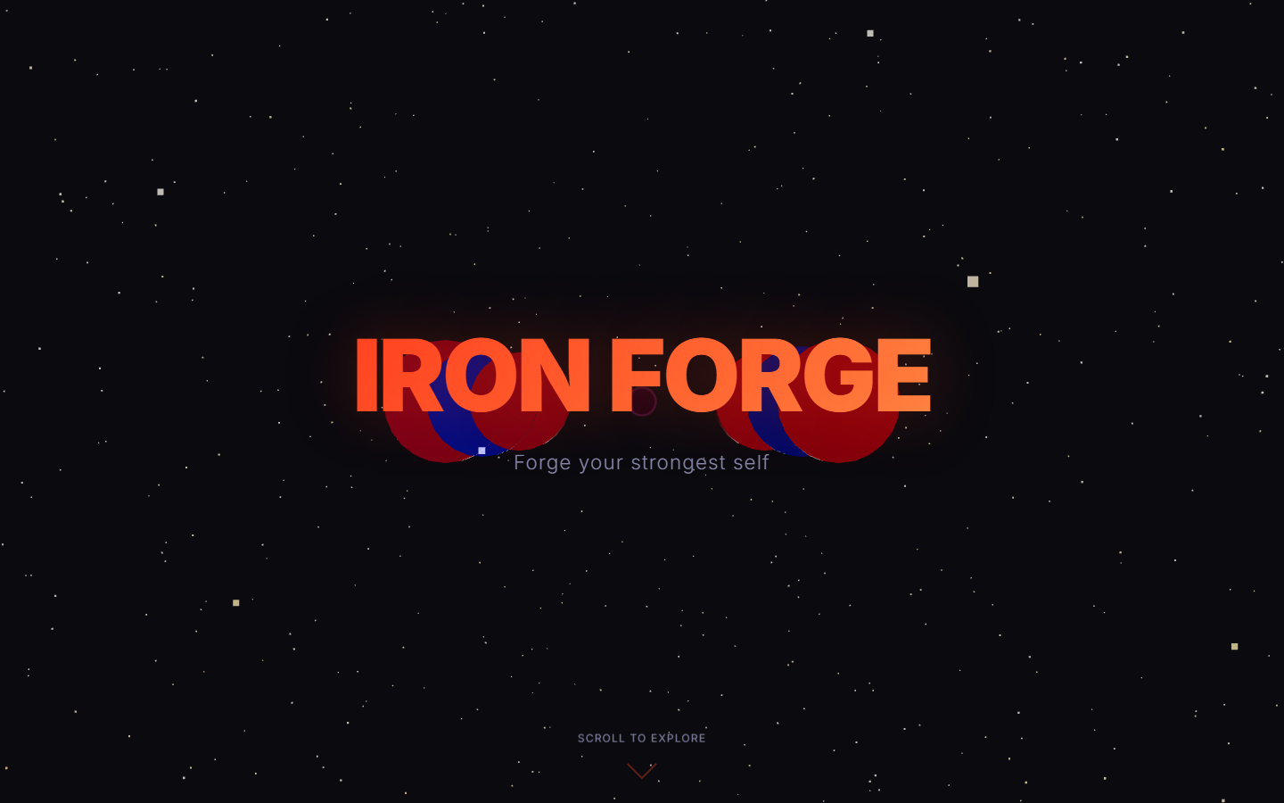 IRON FORGE Gym